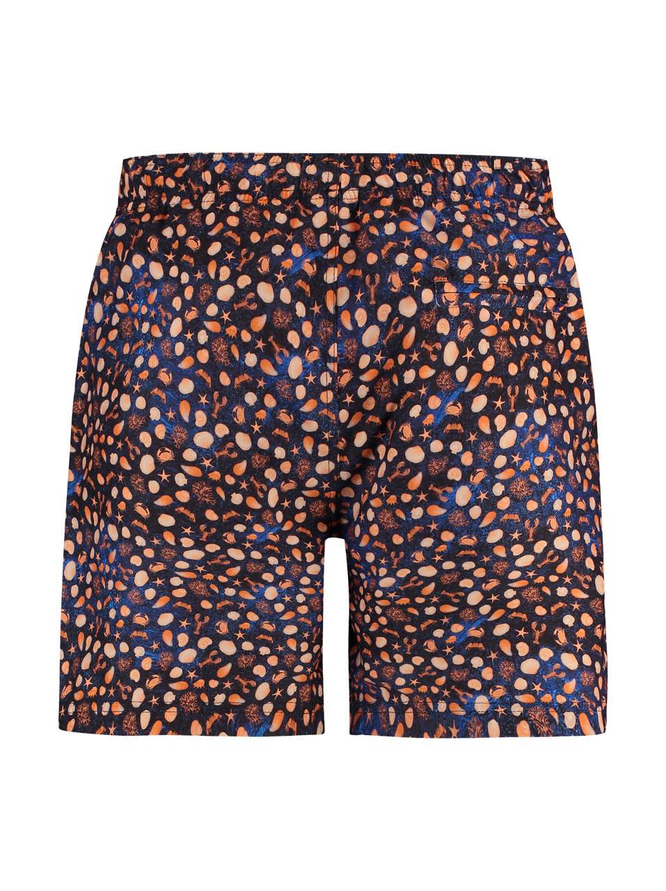 Short zwemshort lobster - navy